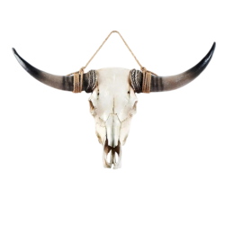Event Decor Rental Longhorn Head Prop Western Country Theme Corporate Party Rental